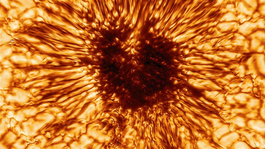 A sunspot about the same size as Earth was observed by the Daniel K. Inouye Solar Telescope, revealing details as small as 20 km across. The image is about 16,000 km wide. 