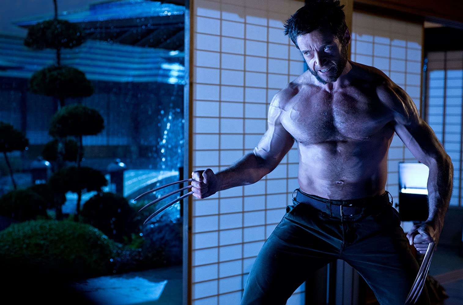 Hugh Jackman has split two pairs of pants since he started bulking up for Wolverine return