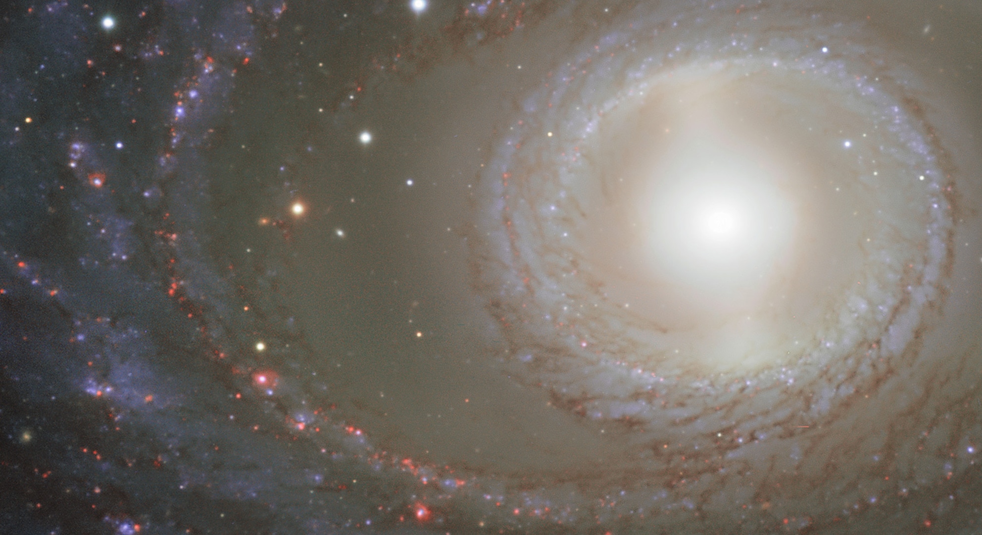 NGC 1398, a barred spiral galaxy that is, quite simply, gorgeous. Credit: ESO