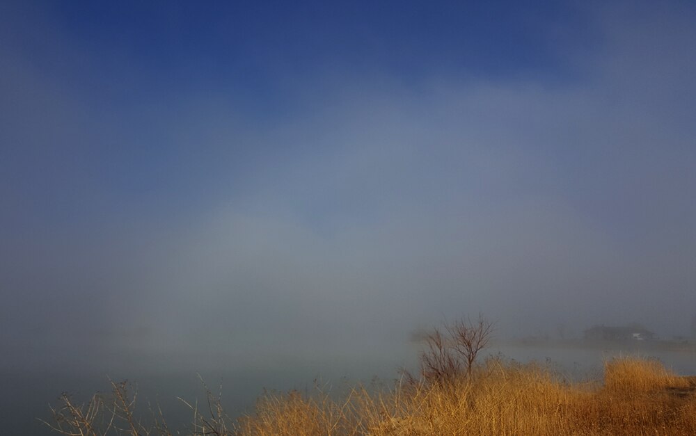 fogbow.jpg