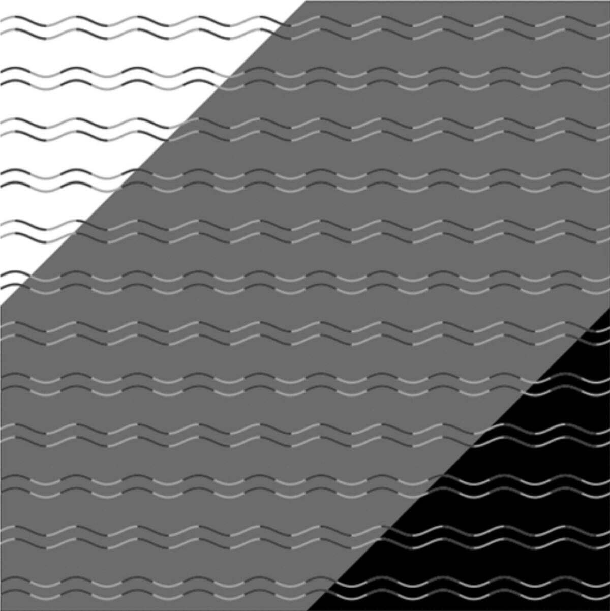 An optical illusion created by Kohske Takahashi: All the lines are smoothly curving sine waves, but their shading and contrast with the background makes them appear to be sharp zigzags. Credit: Kohske Takahashi